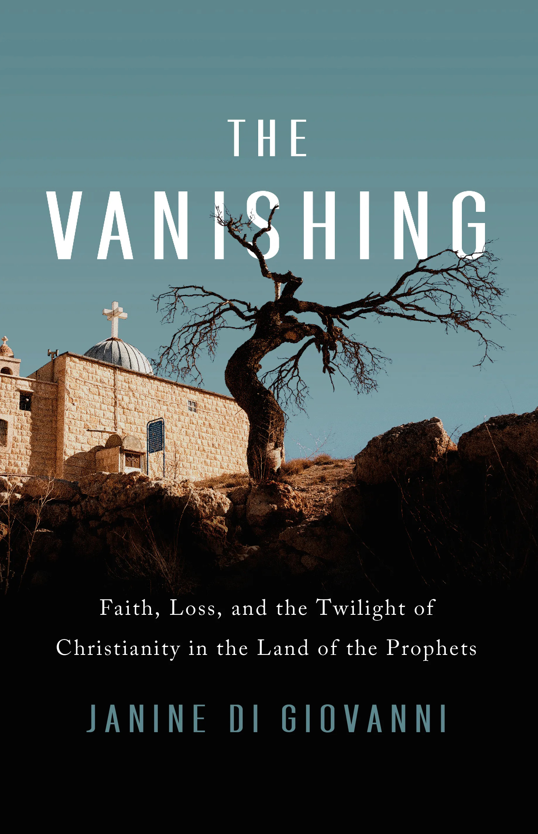The Vanishing book cover